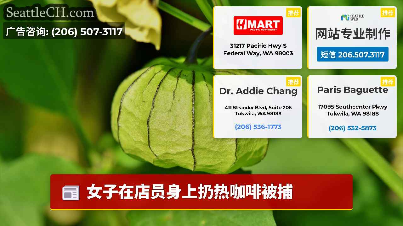 西雅图新闻 SeattleCH