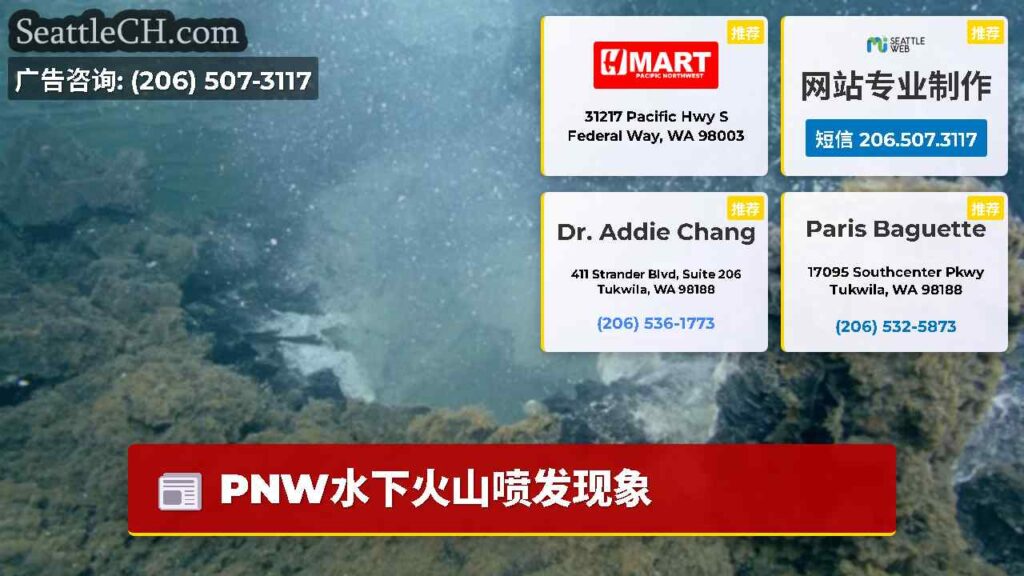 PNW水下火山喷发现象