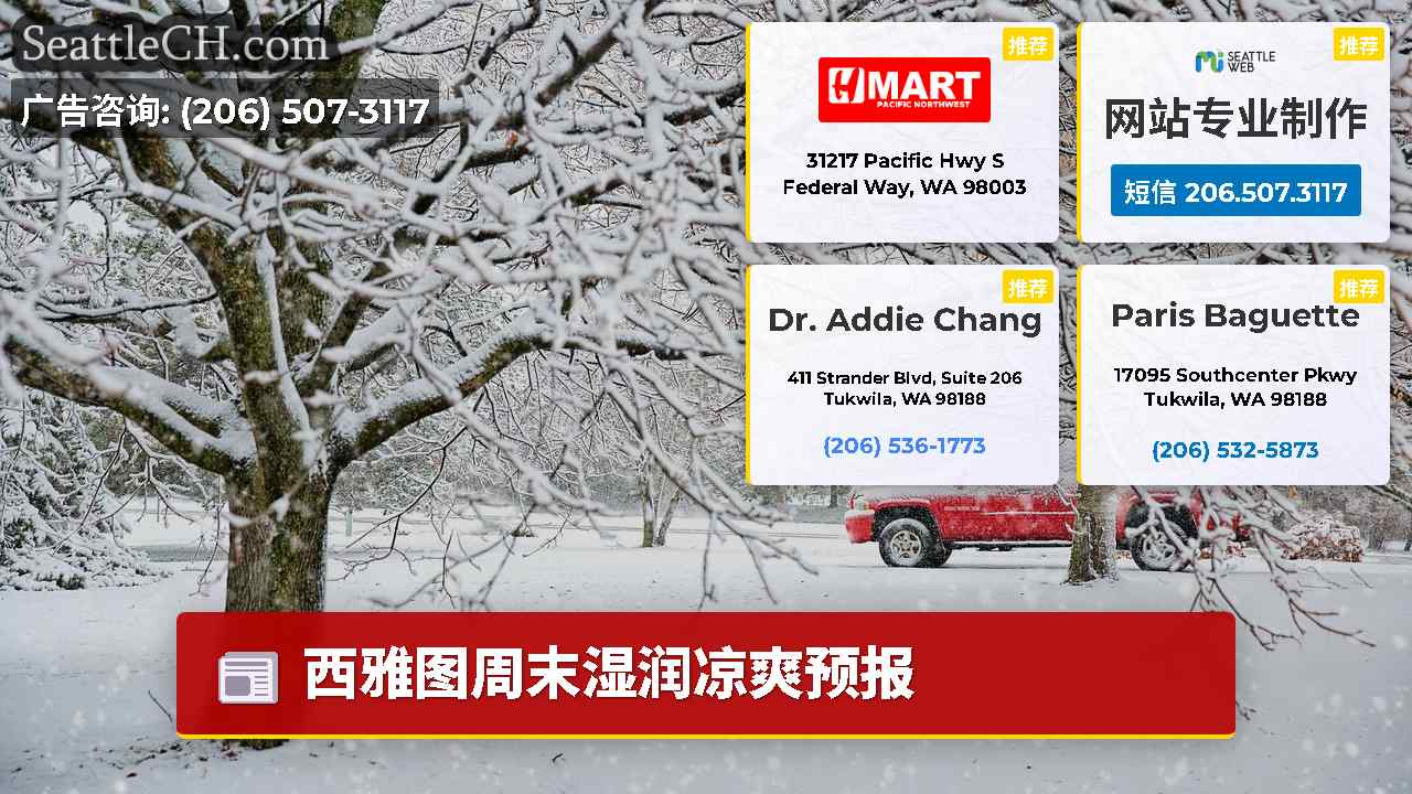 西雅图新闻 SeattleCH