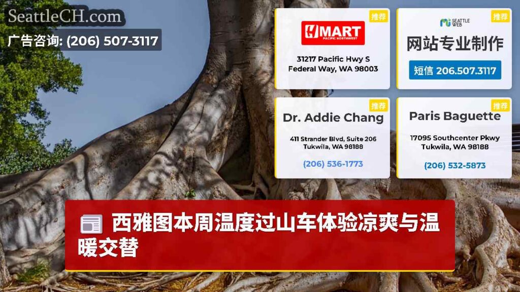 西雅图本周温度过山车体验凉爽与温暖交替