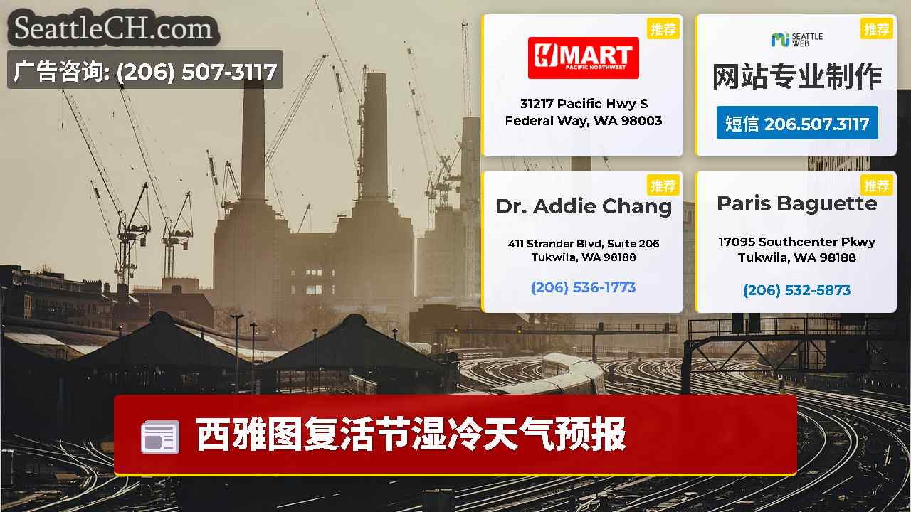 西雅图新闻 SeattleCH