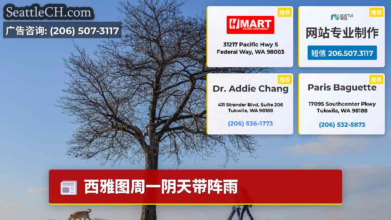 西雅图新闻 SeattleCH
