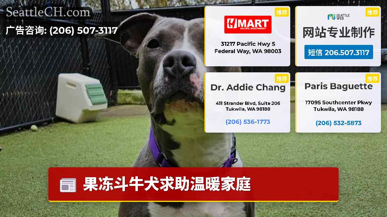 西雅图新闻 SeattleCH