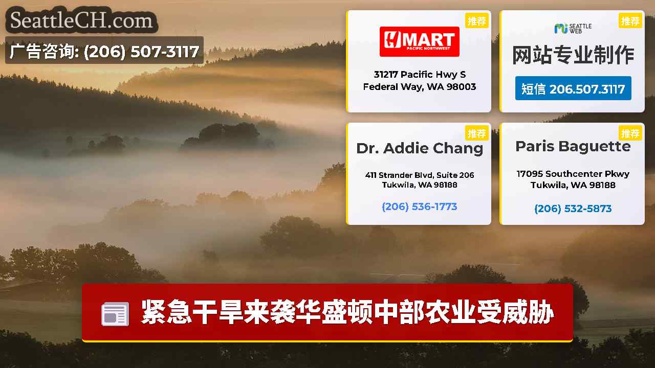 西雅图新闻 SeattleCH