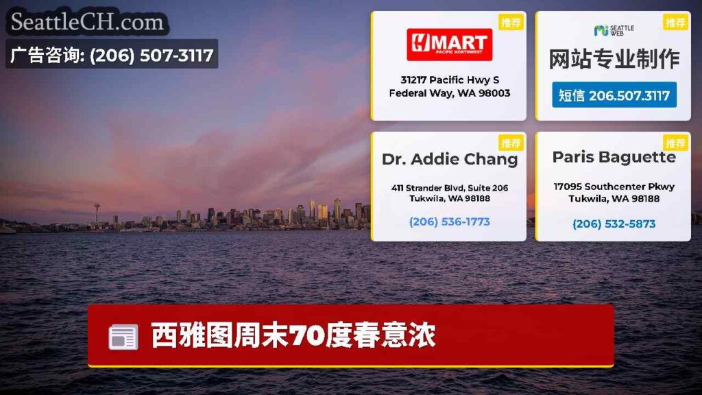 西雅图周末70度春意浓