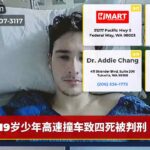 19岁少年高速撞车致四死被判刑