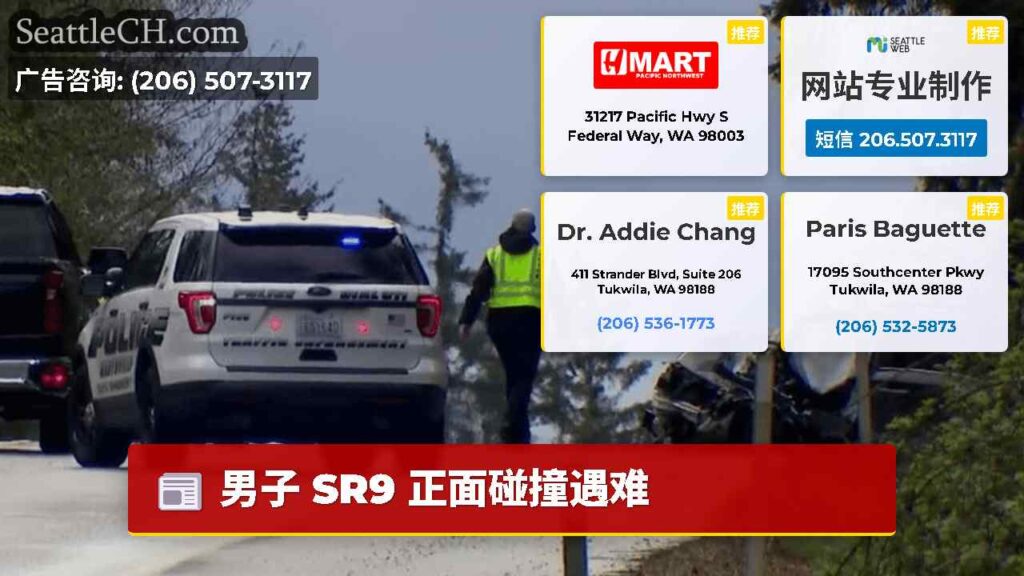 男子 SR9 正面碰撞遇难