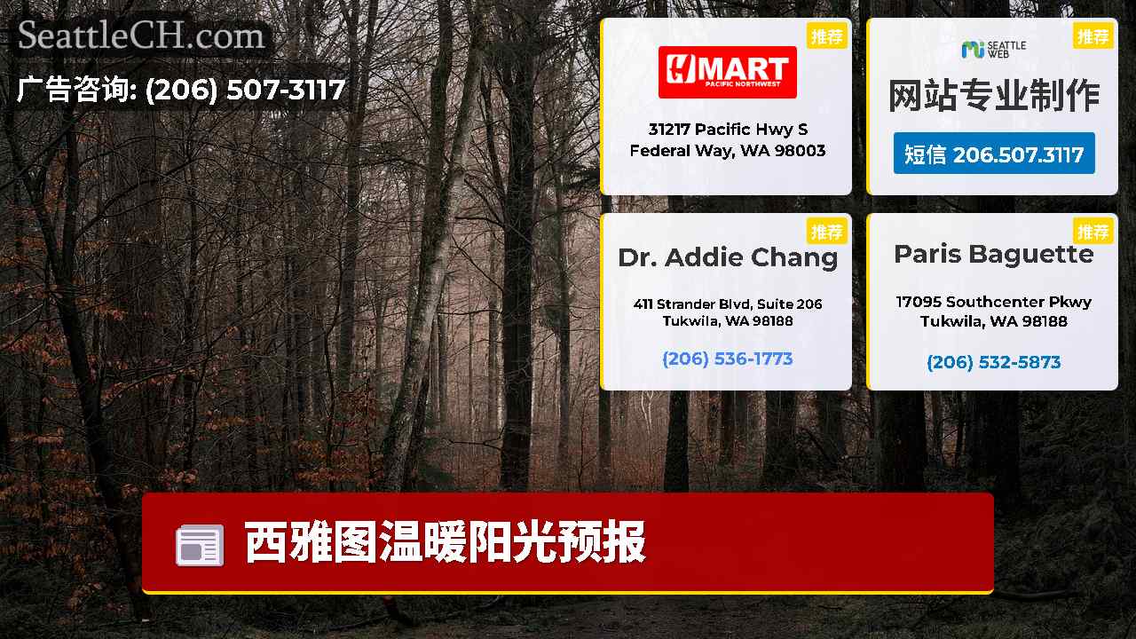 西雅图新闻 SeattleCH