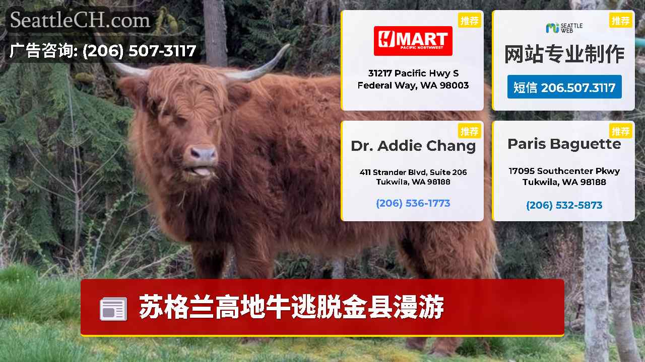 西雅图新闻 SeattleCH