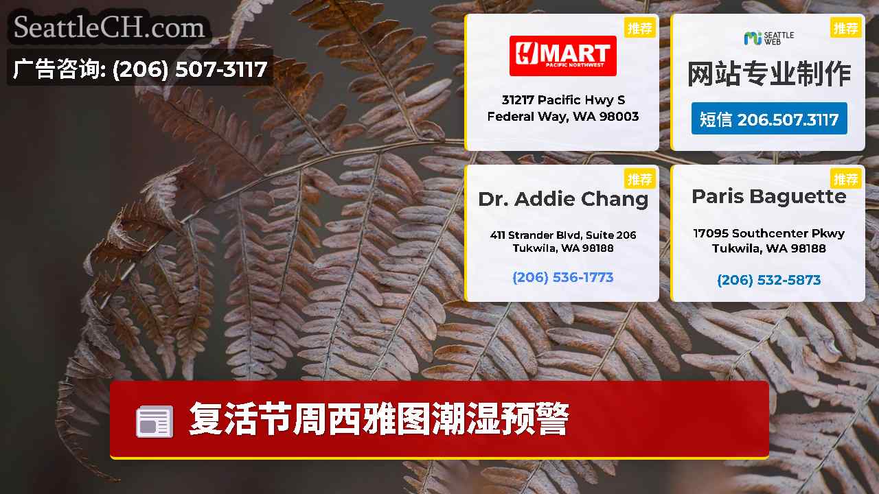 西雅图新闻 SeattleCH