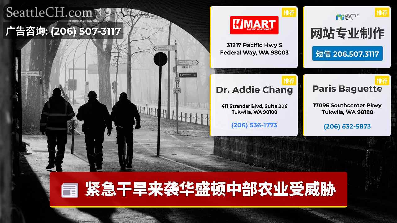 西雅图新闻 SeattleCH
