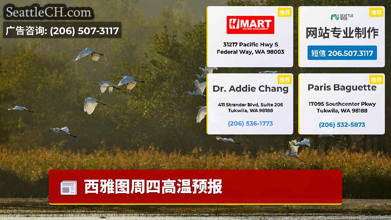 西雅图新闻 SeattleCH