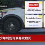 少年刺伤母亲男友致死
