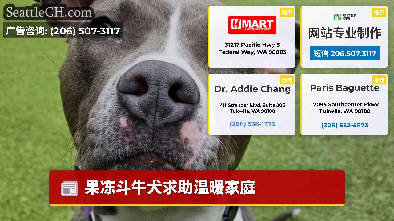 西雅图新闻 SeattleCH