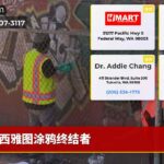 西雅图涂鸦终结者