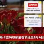斯卡吉特谷郁金香节延至5月4日
