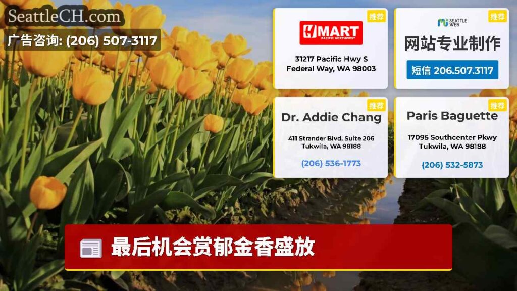 最后机会赏郁金香盛放