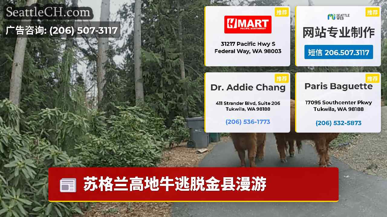 西雅图新闻 SeattleCH