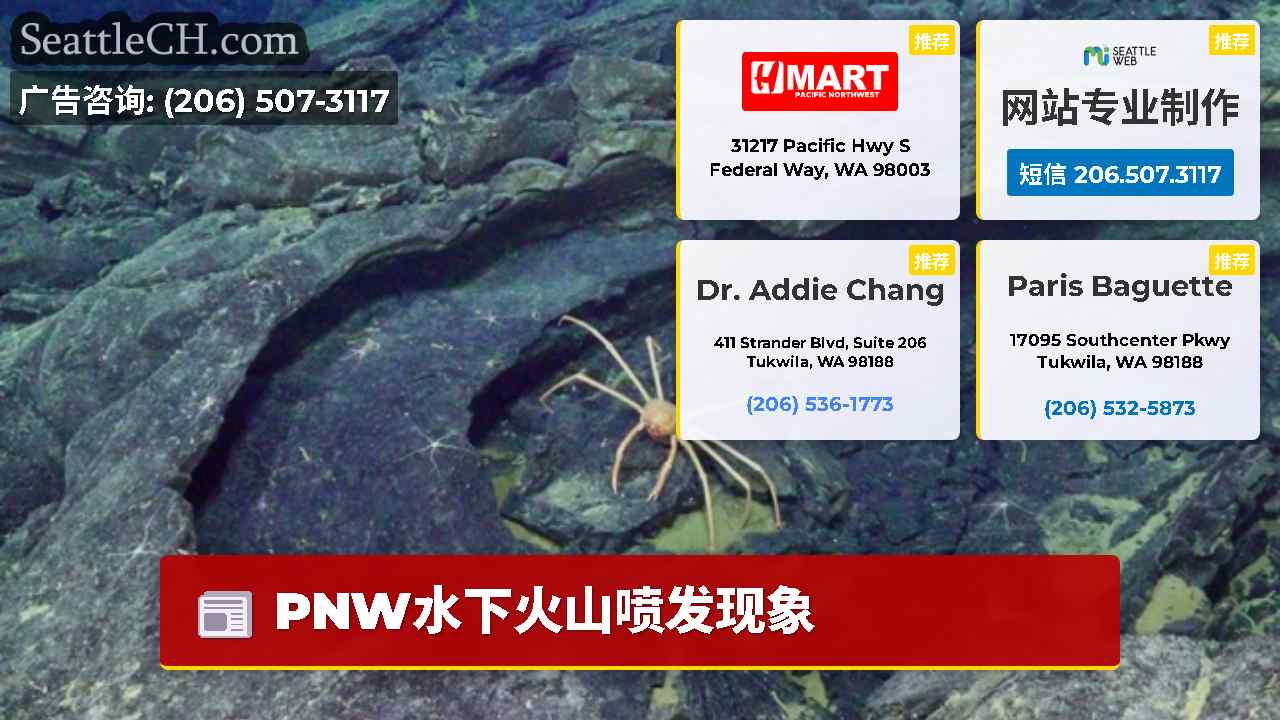 西雅图新闻 SeattleCH