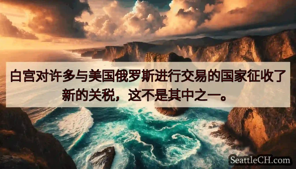 白宫对许多与美国俄罗斯进行交易的国家征收了新的关税，这不是其中之一。