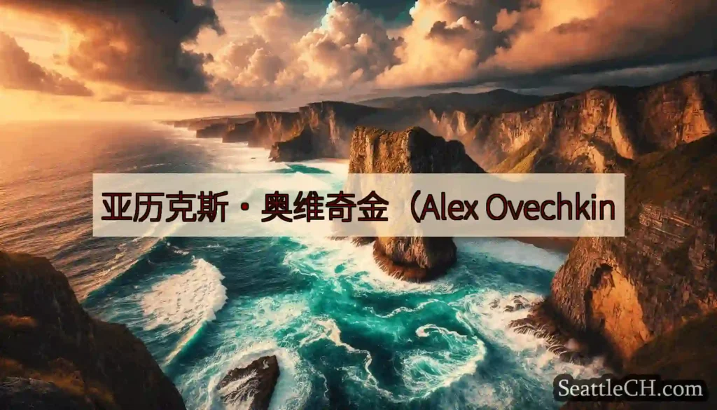 亚历克斯·奥维奇金（Alex Ovechkin