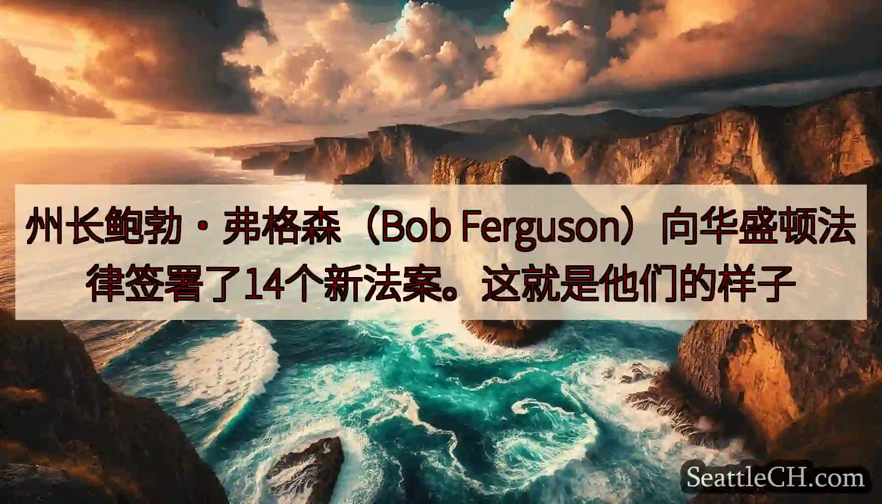 州长鲍勃·弗格森（Bob Ferguson）向华盛顿法律签署了14个新法案。这就是他们的样子