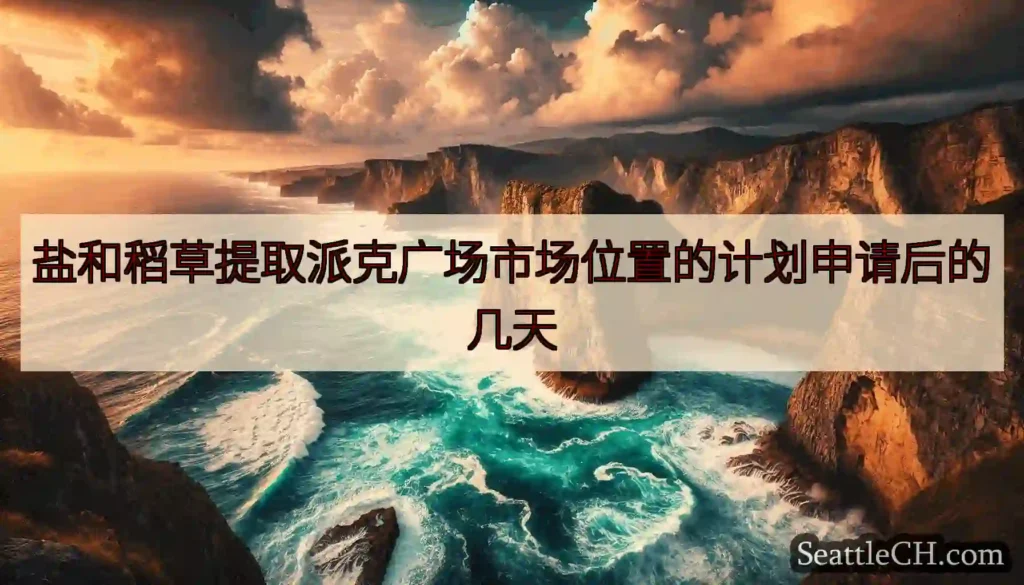 盐和稻草提取派克广场市场位置的计划申请后的几天