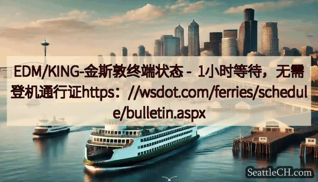EDM/KING-金斯敦终端状态 -