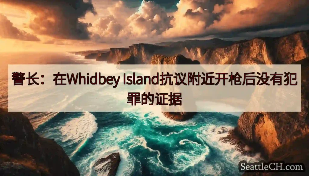 警长：在Whidbey Island抗议附近开枪后没有犯罪的证据