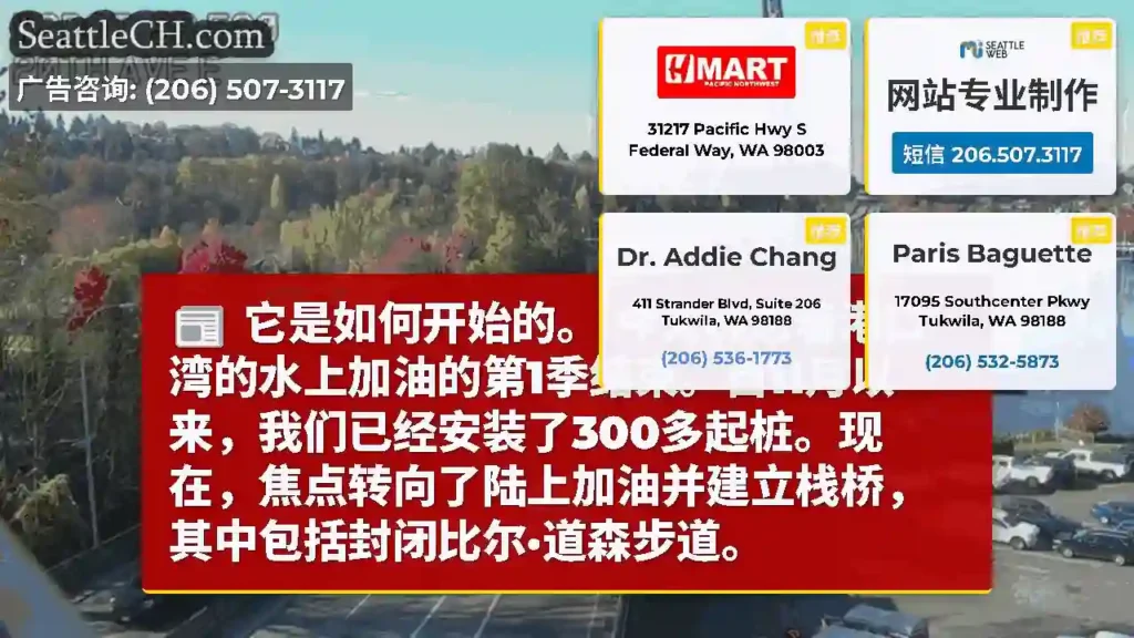它是如何开始的。