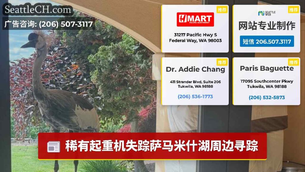 稀有起重机失踪萨马米什湖周边寻踪