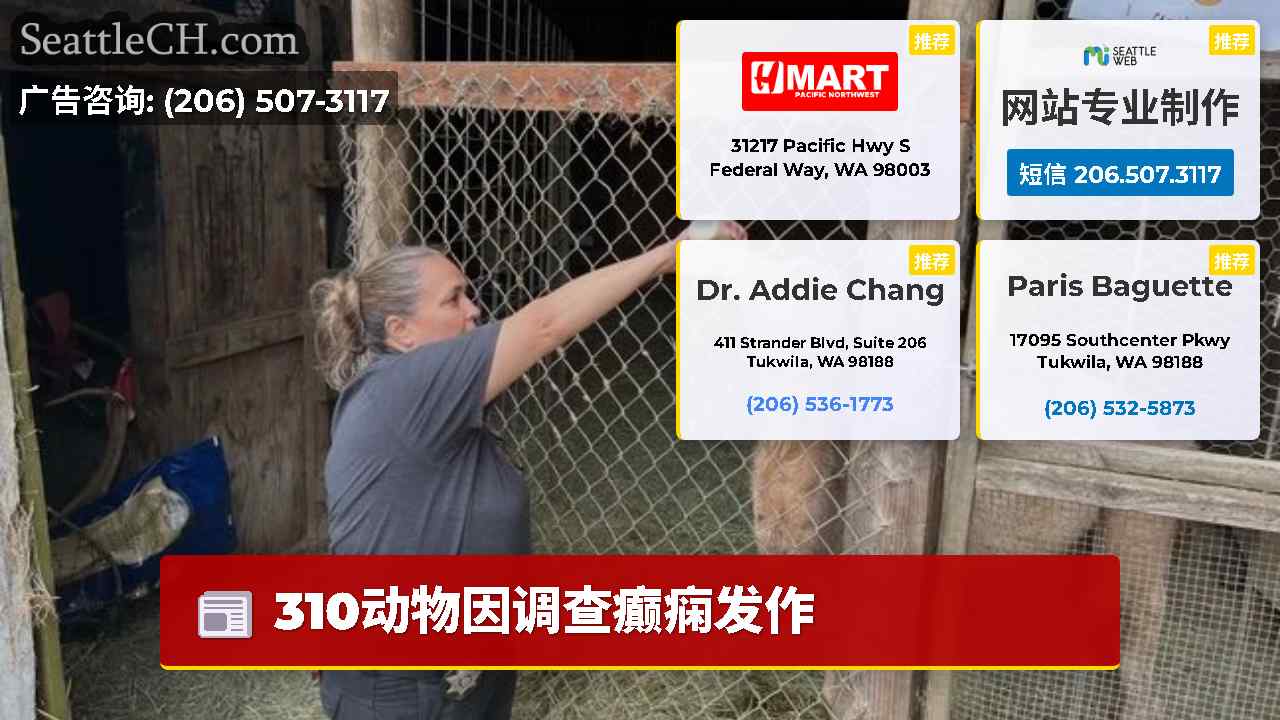 西雅图新闻 SeattleCH