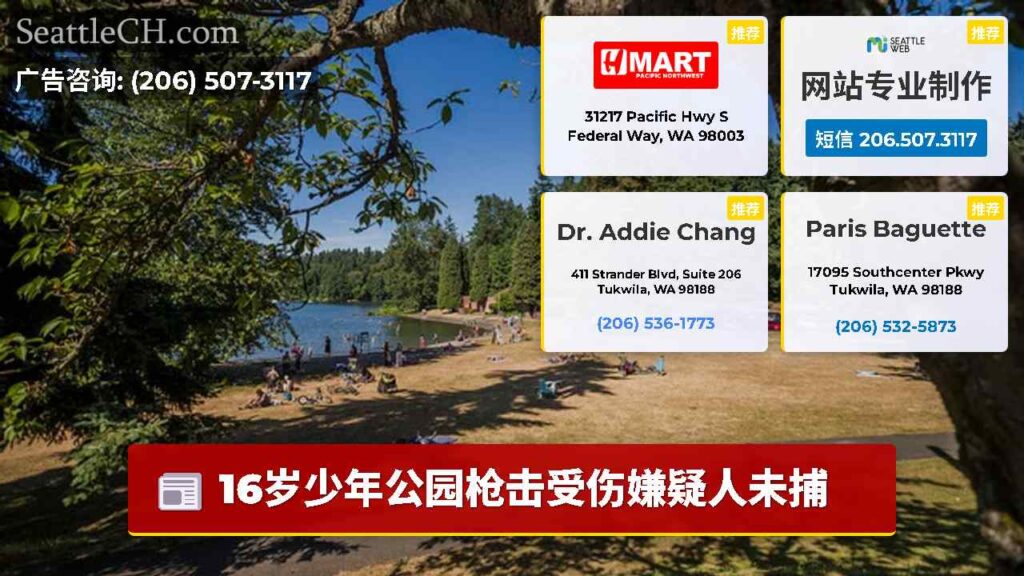 16岁少年公园枪击受伤嫌疑人未捕