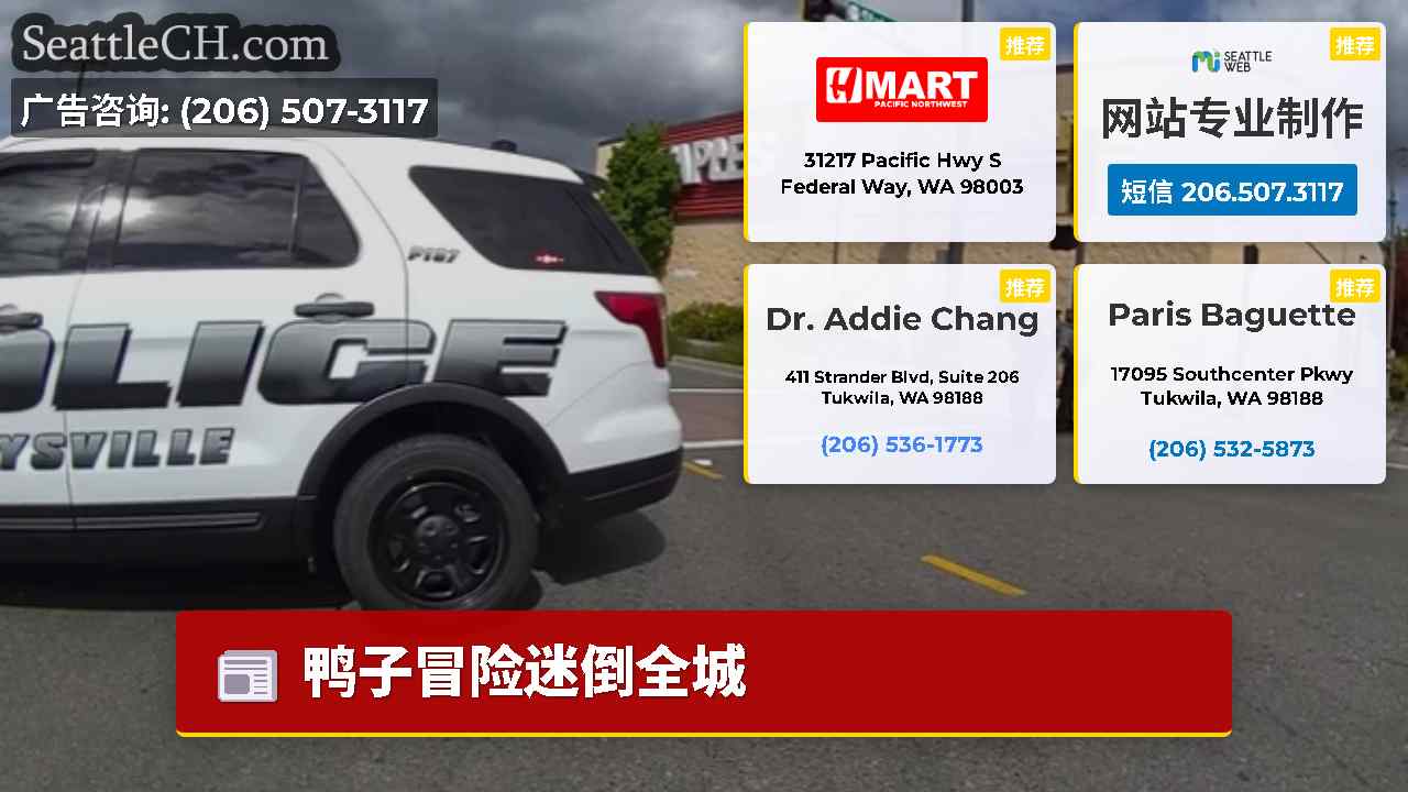 西雅图新闻 SeattleCH