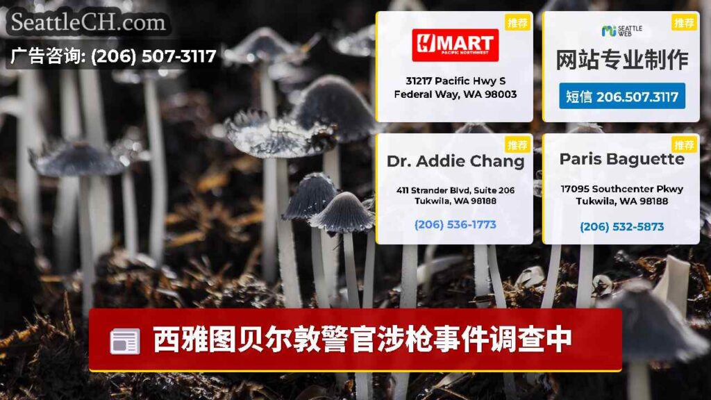 西雅图贝尔敦警官涉枪事件调查中