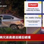 两兄弟高速追捕后被捕