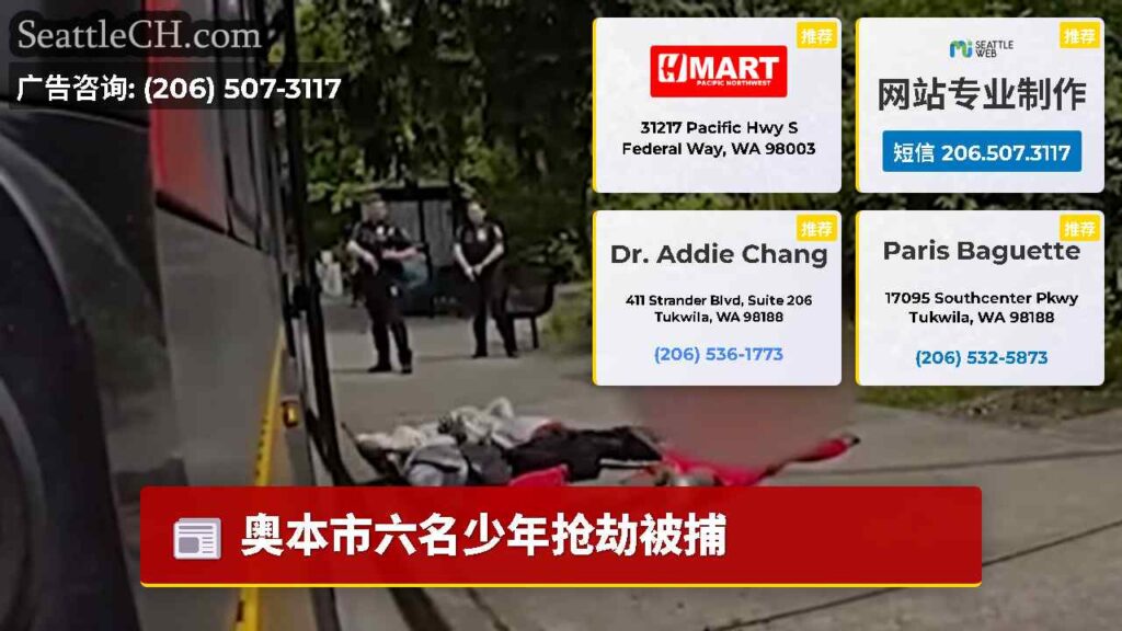 奥本市六名少年抢劫被捕