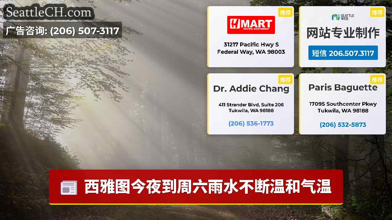 西雅图新闻 SeattleCH