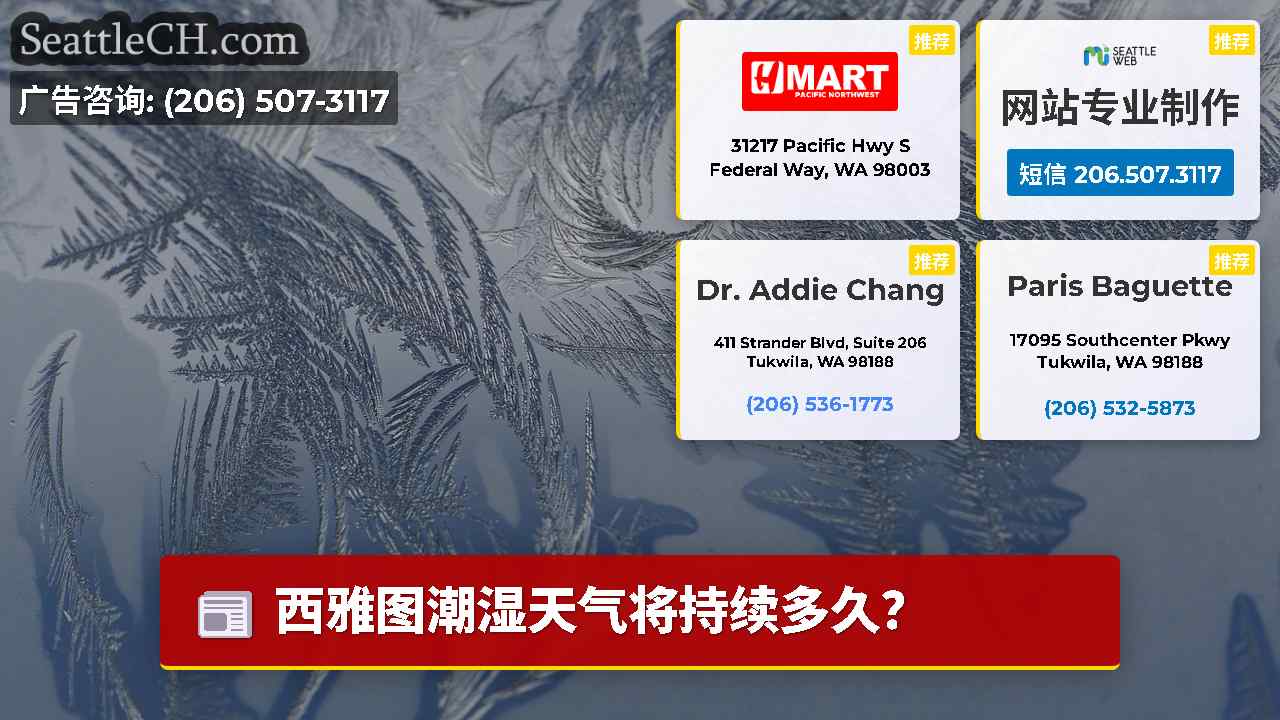 西雅图新闻 SeattleCH