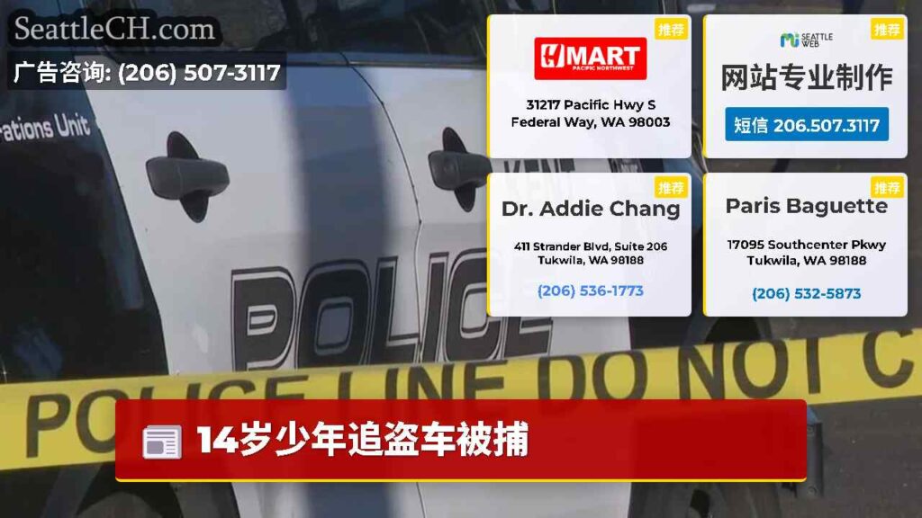 14岁少年追盗车被捕