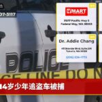 14岁少年追盗车被捕