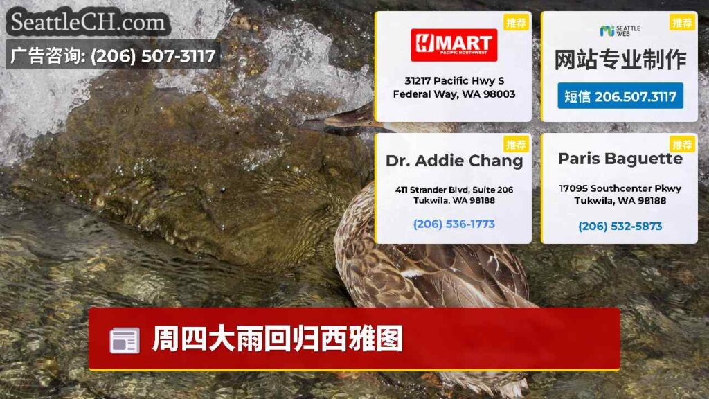 周四大雨回归西雅图