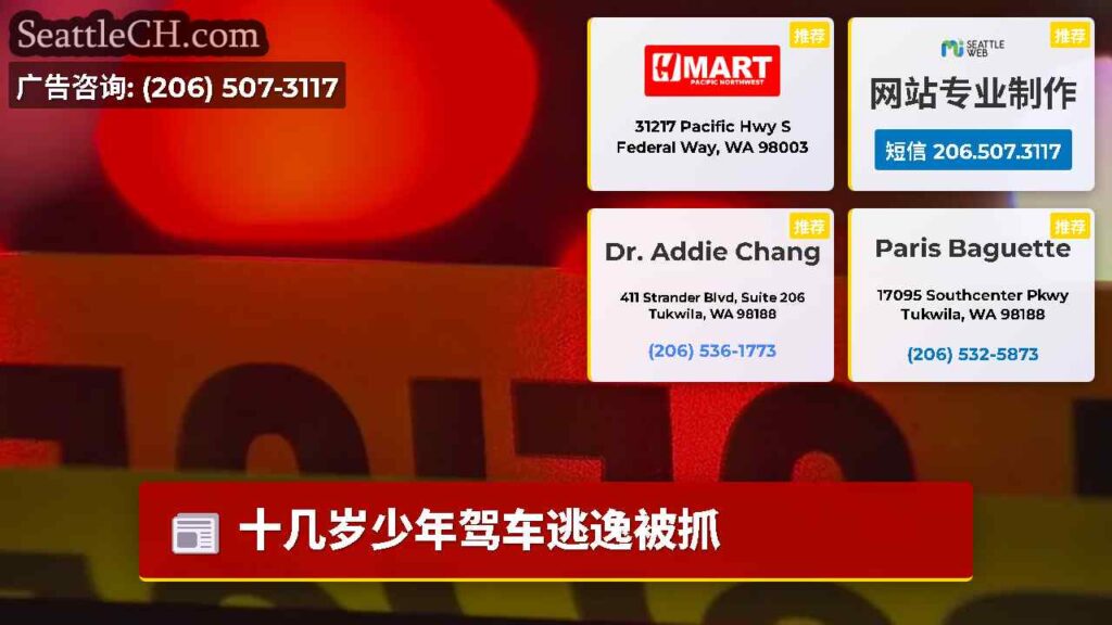十几岁少年驾车逃逸被抓