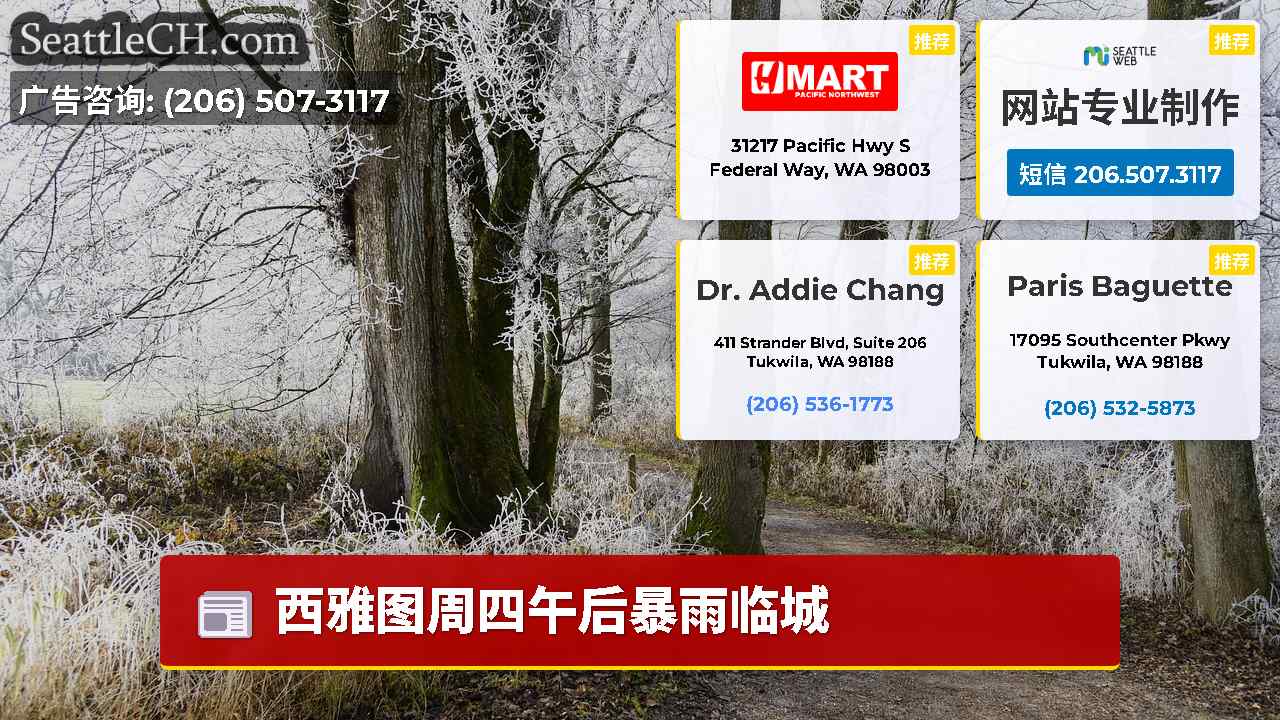西雅图新闻 SeattleCH