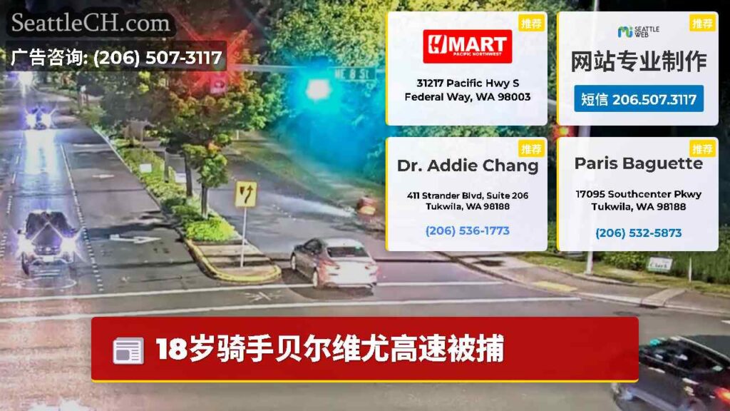 18岁骑手贝尔维尤高速被捕