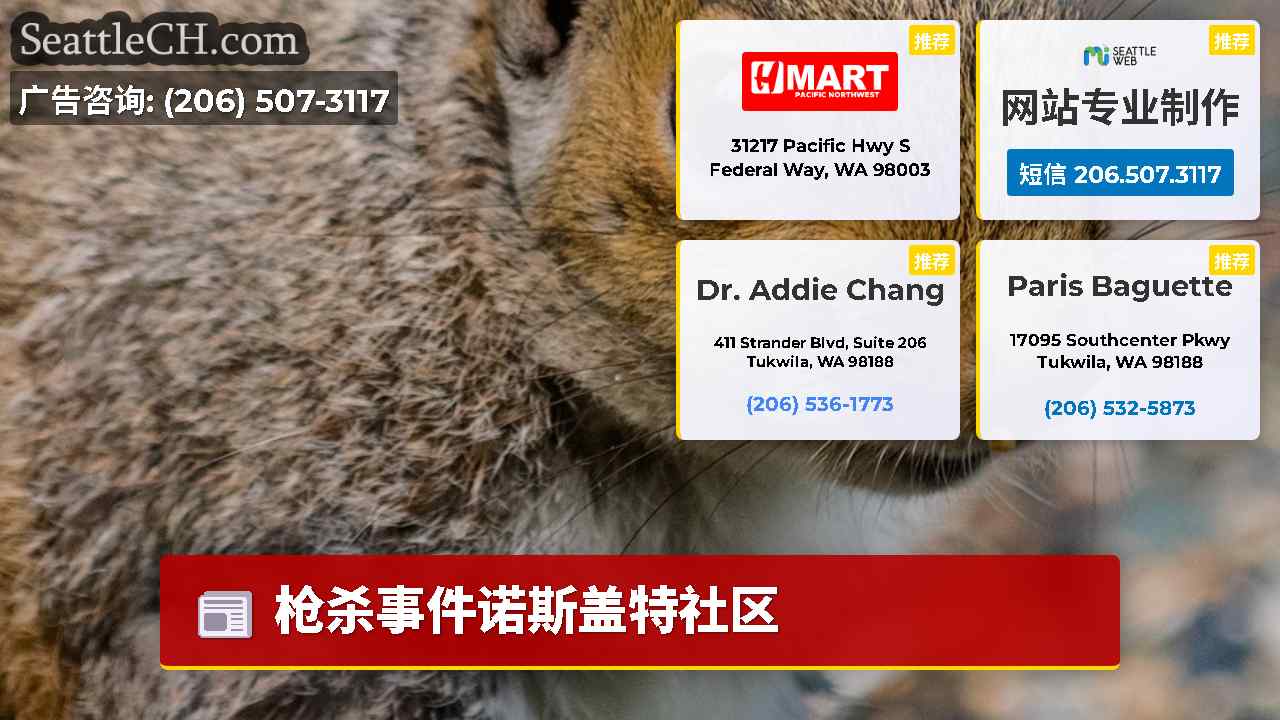 西雅图新闻 SeattleCH