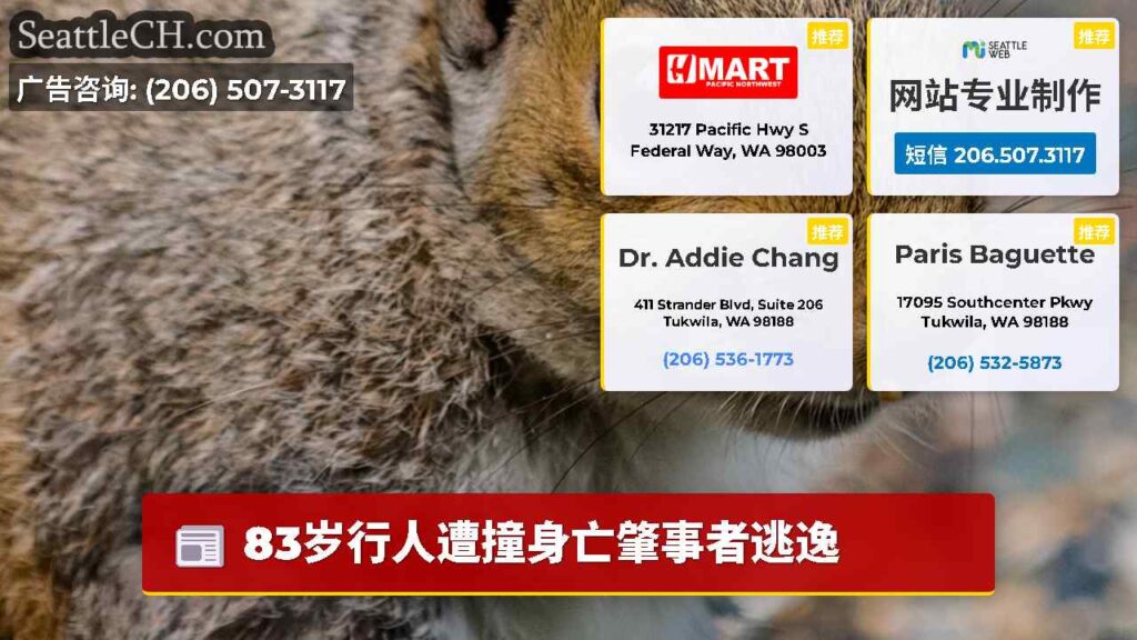 83岁行人遭撞身亡肇事者逃逸