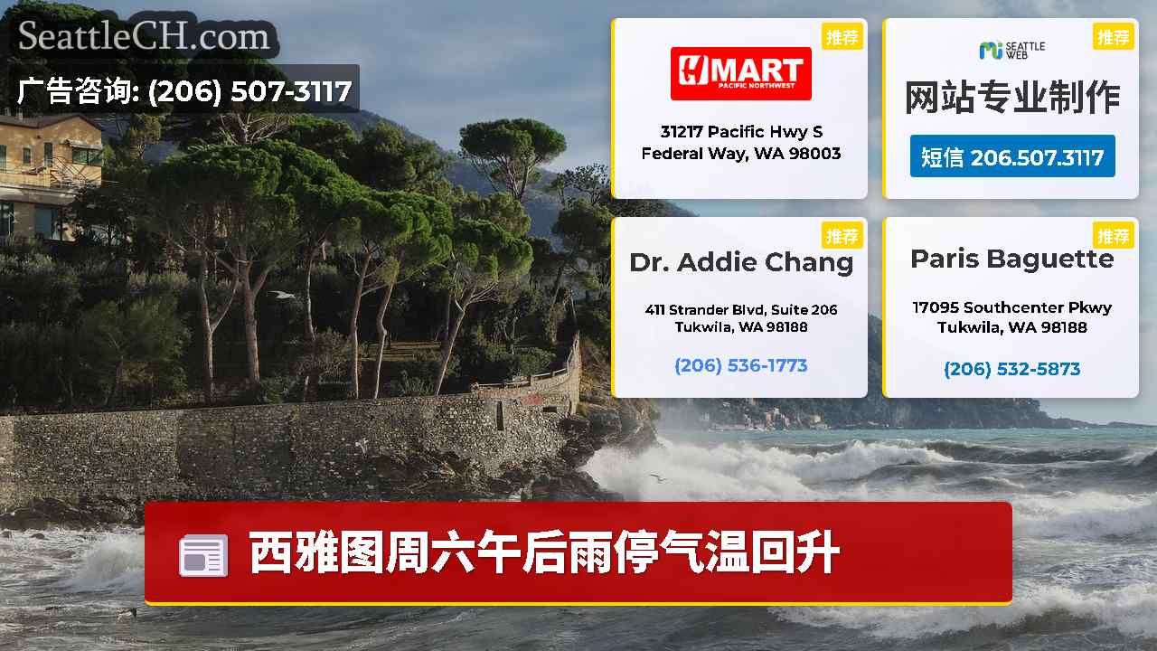 西雅图新闻 SeattleCH