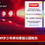 17岁少年移动家庭公园枪伤