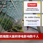 西雅图大面积停电影响数千人